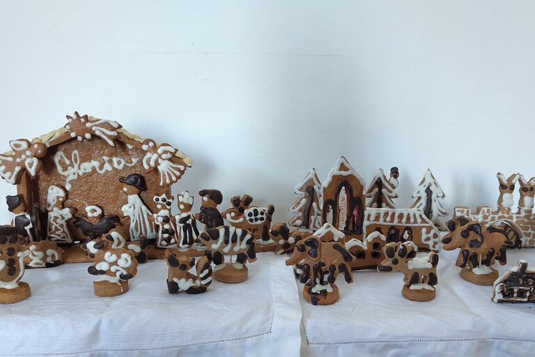 Program na prosinec 2025